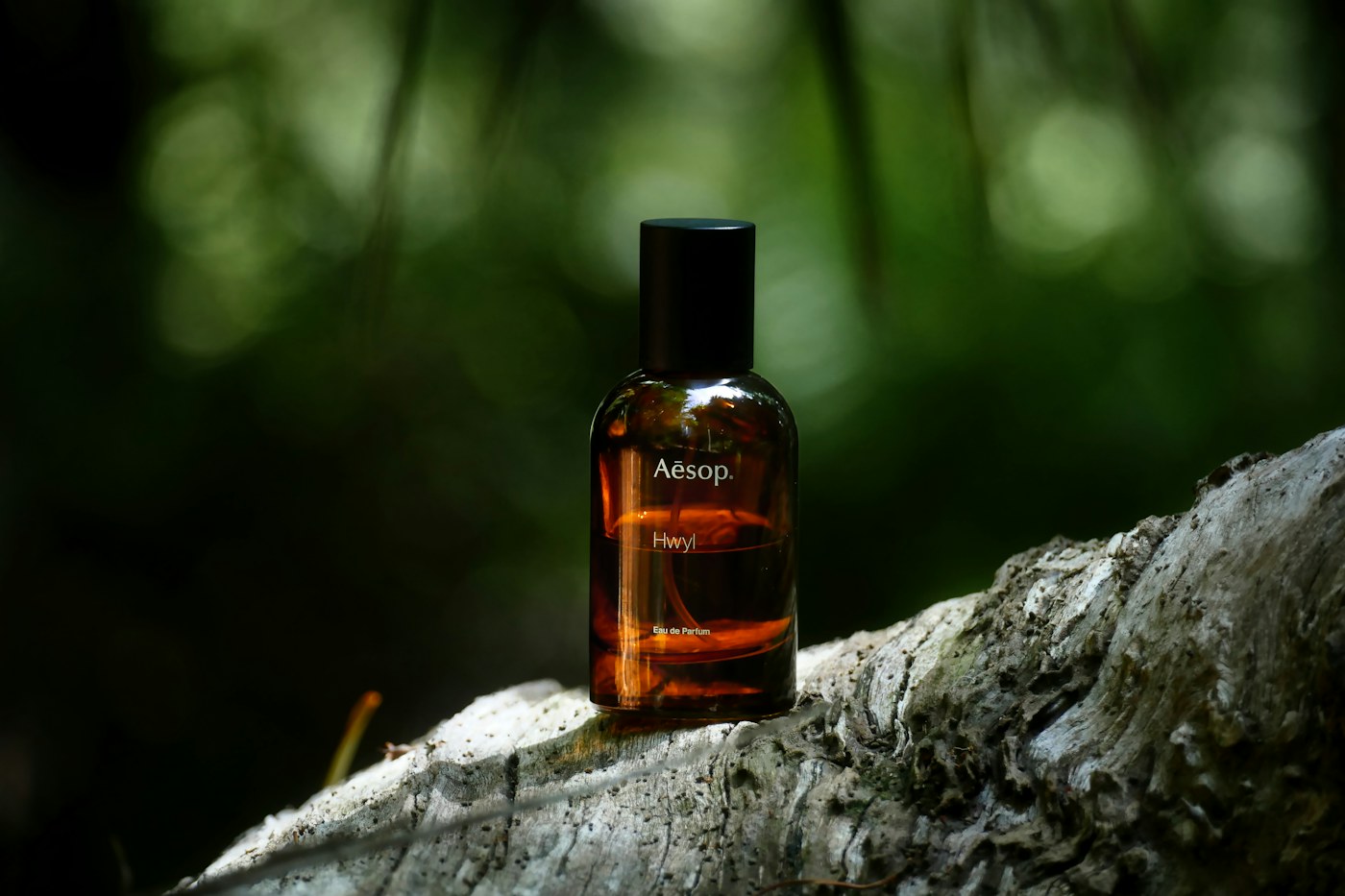 Botanical perfume scene — stock photograph for design preview